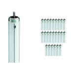 Voordeelpak 25x Philips TL-X XL 40W 33-640 - 118cm