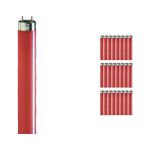 Voordeelpak 25x Philips MASTER TL-D 36W - Rood | 120cm