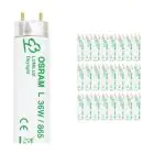 Voordeelpak 25x Osram L 36W 865 Lumilux | 120cm - Daglicht